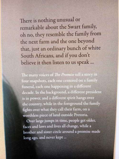 The Promise, Damon Galgut