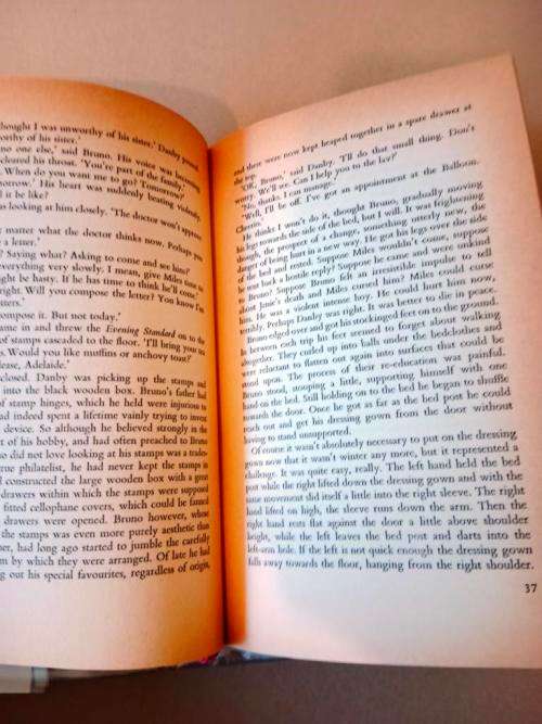 Bruno`s Dream, Iris Murdoch