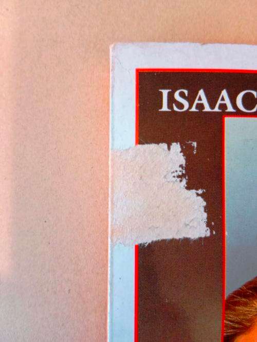 Enemies, A Love Story, Isaac Bashevis Singer