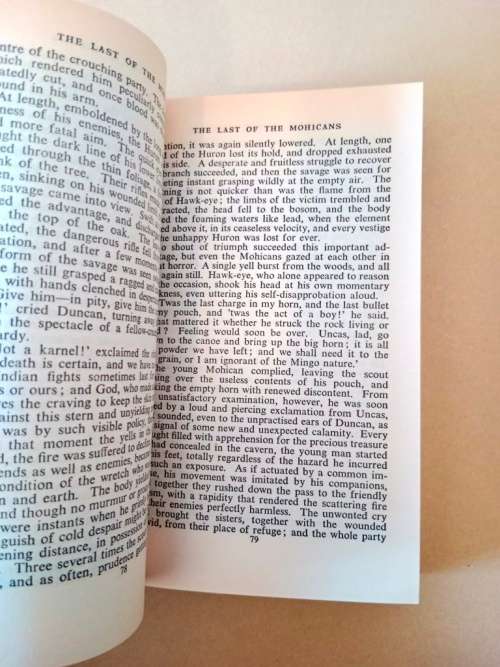 The Last of the Mohicans, James Fenimore Cooper