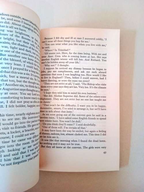 Wide Sargasso Sea,  Jean Rhys