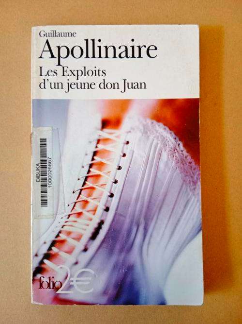 Les Exploits d`un jeune don Juan, Guillaume Appollinaire