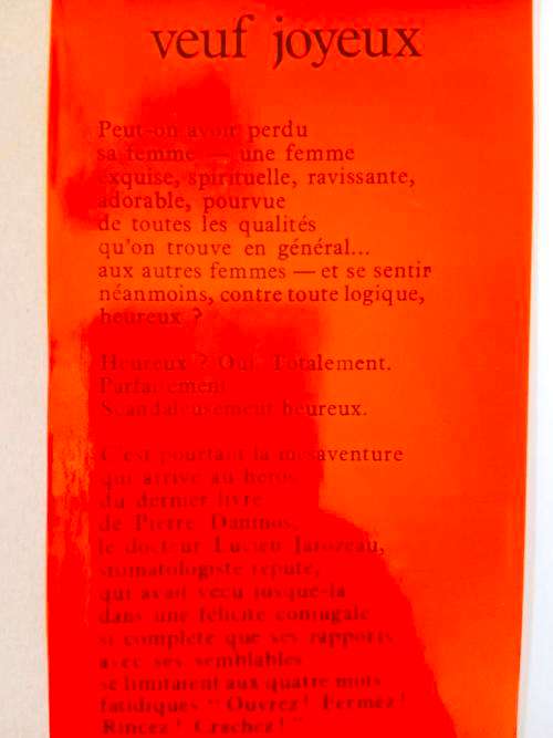 Le veuf joyeux, Pierre Daninos