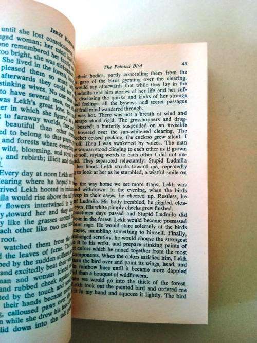 The Painted Bird, Jerzy Kosinski