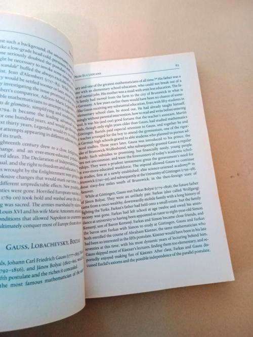 The Poincaré Conjecture, Donal O`Shea