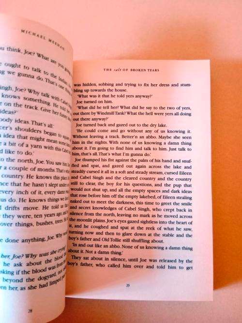 The Salt of Broken Tears, Michael Meehan