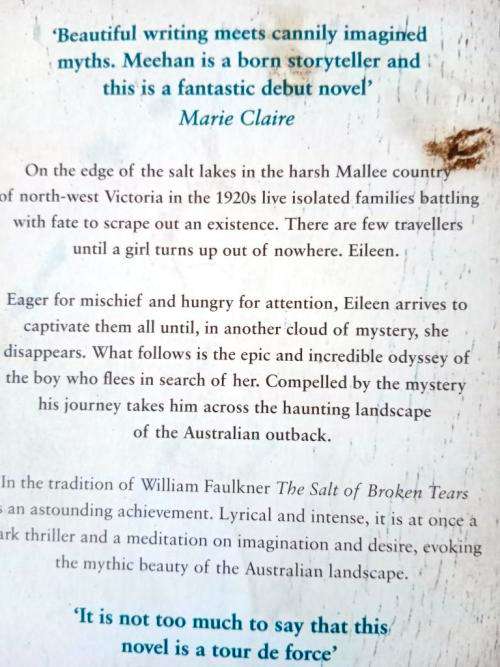 The Salt of Broken Tears, Michael Meehan