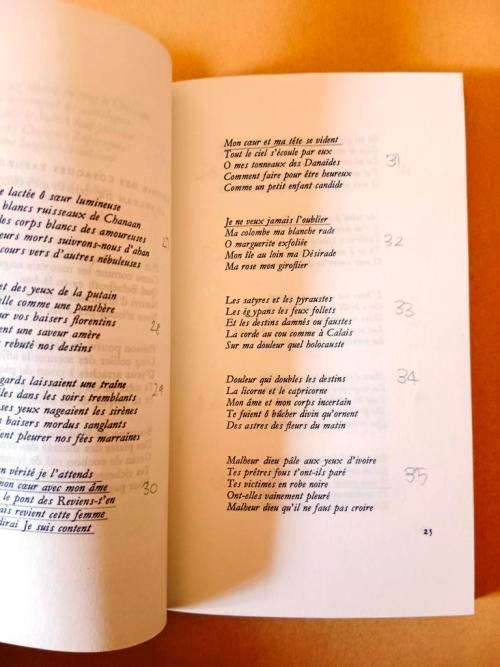 Alcools, Apollinaires (Collection Poésie)