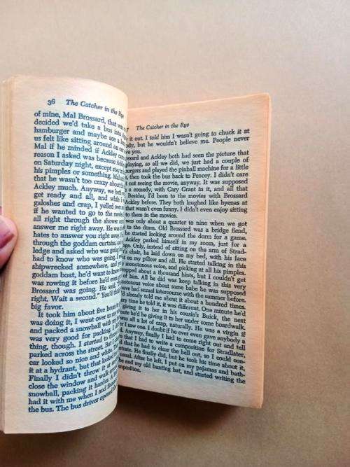 The Catcher in the Rye, J.D. Salinger