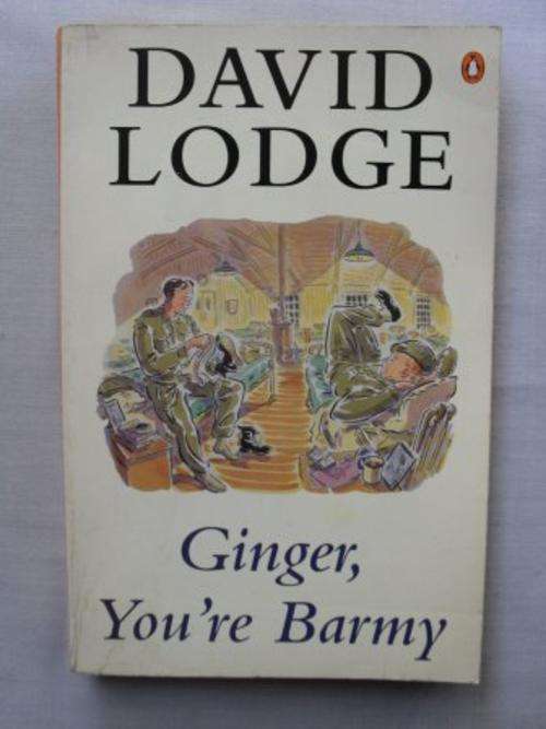 Ginger, You're Barmy - David Lodge