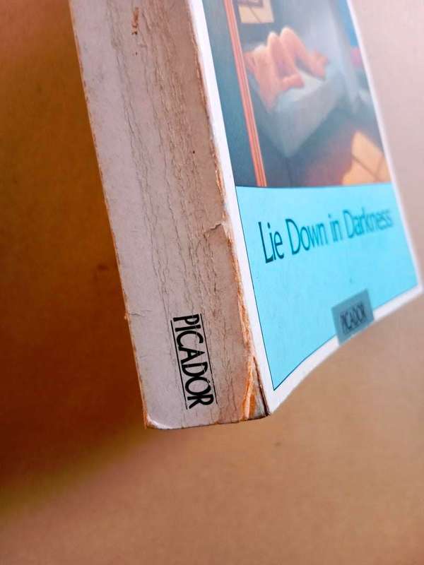 Lie Down in Darkness, William Styron