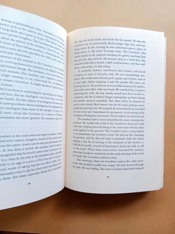 The Volcano Lover, Susan Sontag