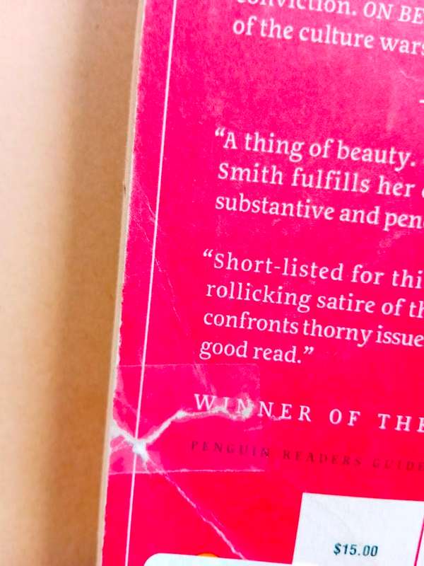 On Beauty, Zadie Smith