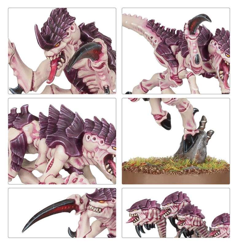 Tyranids: Hormagaunts - Warhammer 40K