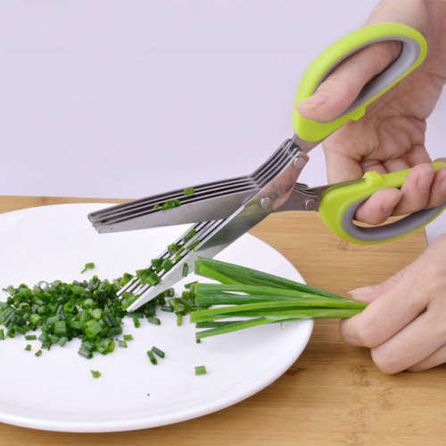 Herb / spices Scissors