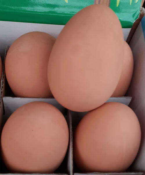 Bouncing Eggs