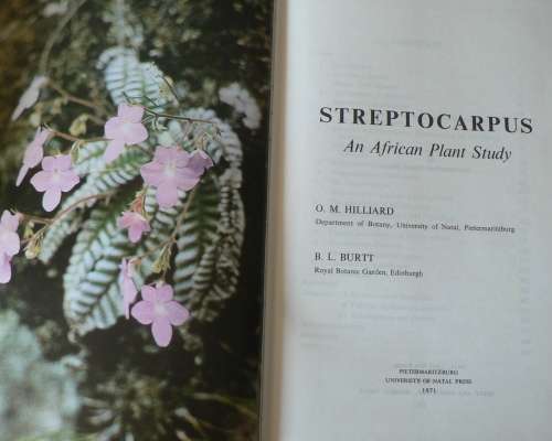 Streptocarpus an African plant study by O.M. Hilliard and B.L. Burt