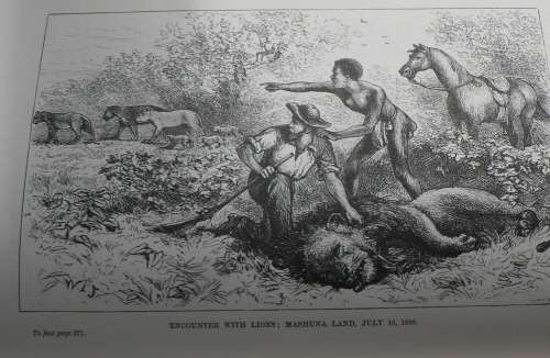 A Hunter`s Wanderings in Africa by F.C. Selous (hunting)