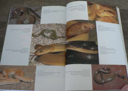 A Complete guide to the snakes of Southern Africa by Johan Marais