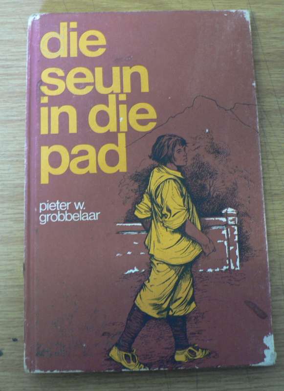 Die seun in die pad deur Pieter W. Grobbelaar(historiese verhaal vir die jeug)