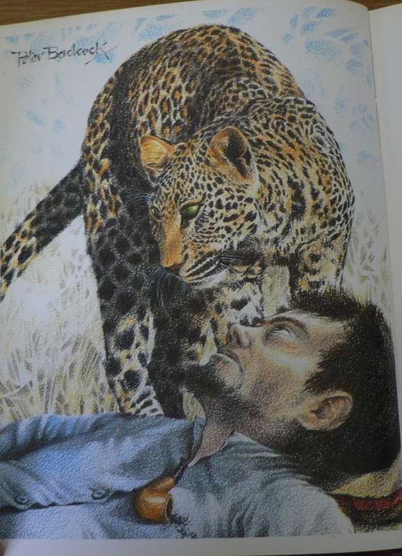 The illustrated Bosman(beautiful book)