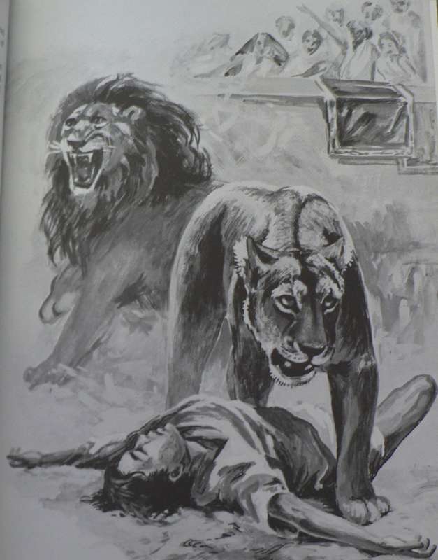 The World of Big Game by Penny Miller and CTA Maberley