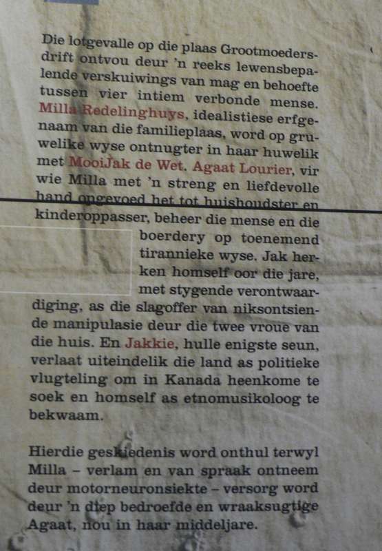 Agaat deur Marlene van Niekerk