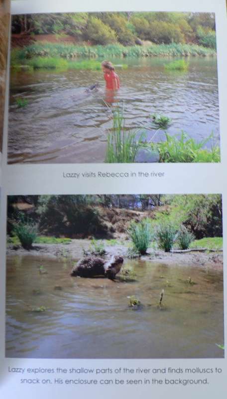 Return to the Wild by Danelle and Brendan Murray( South African nature book)
