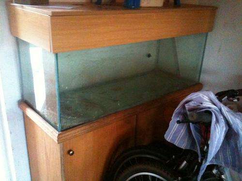 4ft Fish Tank with oak cabinet
