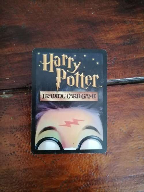 Harry Potter Trading Cards