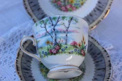 ROYAL ALBERT TRIO   " SILVER BIRCH "
