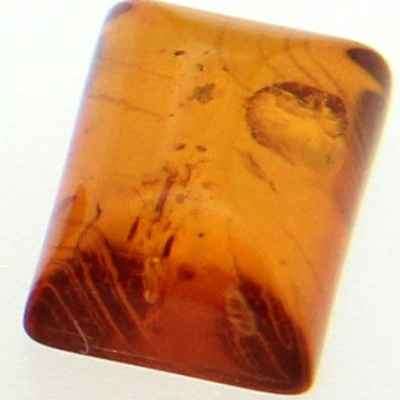 Natural Mined Amber 6.10x4.10mm 0.35cts