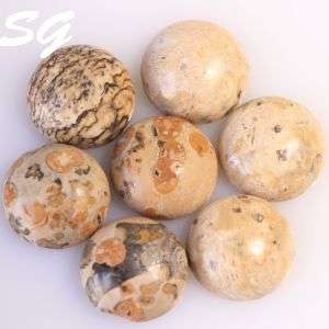 Natural Mined leopard jasper 8.01mm  1.55cts