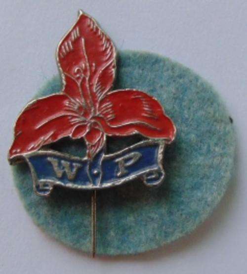 WESTERN PROVINCE "STORMERS" RUGBY PIN.