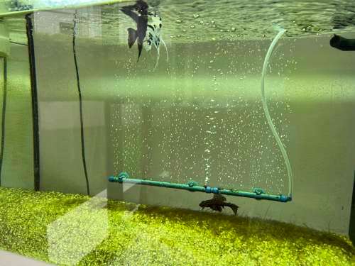 Aquarium Juwel 125 Rio