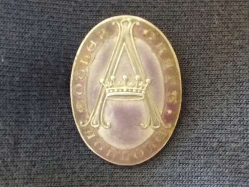 Sterling silver nurses badge