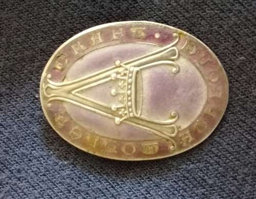 Sterling silver nurses badge