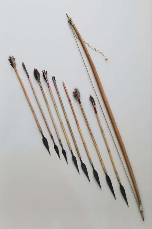 Bushman Bow and Arrows
