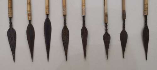 Bushman Bow and Arrows