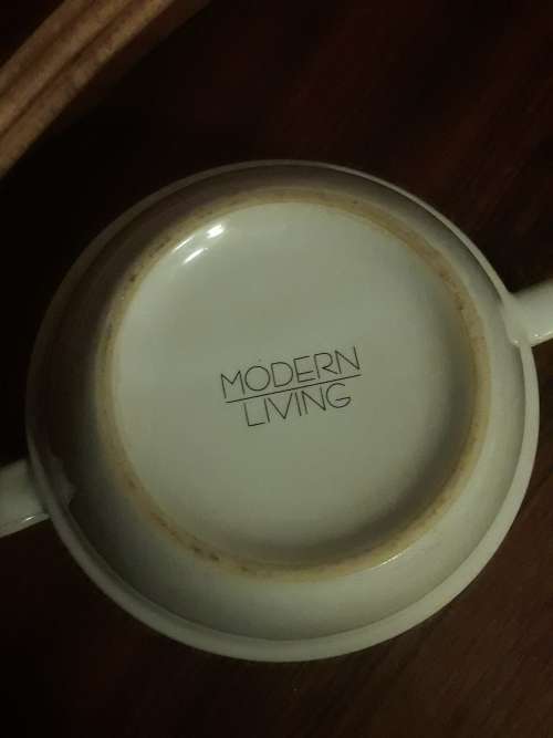 6 MODERN LIVING Spaghetti / Soup Bowls!!