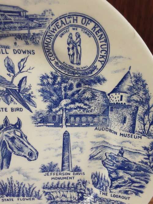 BEAUTIFUL BLUE and WHITE Vintage Display Plate!!