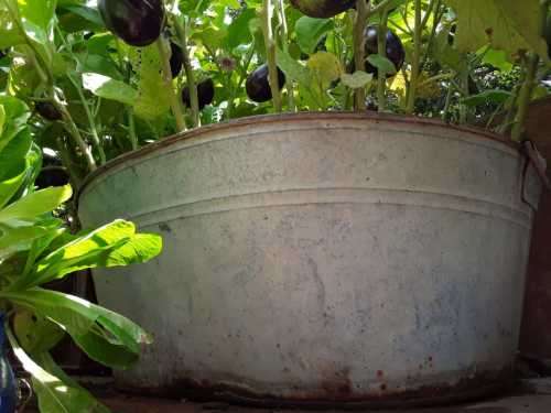 AWESOME!! 10 Vintage GALVANIZED Large TUBS ~ Crazy R1!