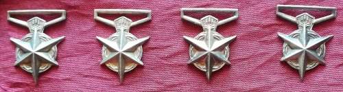 Police medal for combating terrorism (1974) Mess Dress