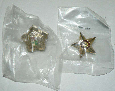 SAAF - Gilt rank castle and star - full size