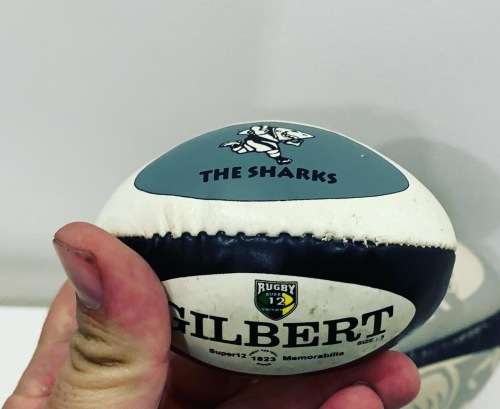 Sharks Rugby - Official Mascot Rugby Ball