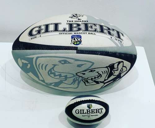 Sharks Rugby - Official Mascot Rugby Ball