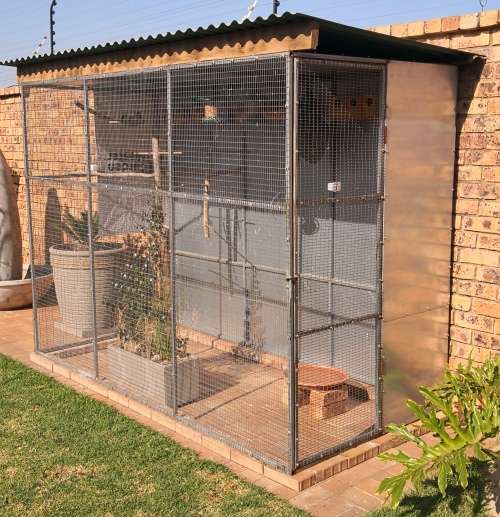 Aviary Bird cage walk in Cage