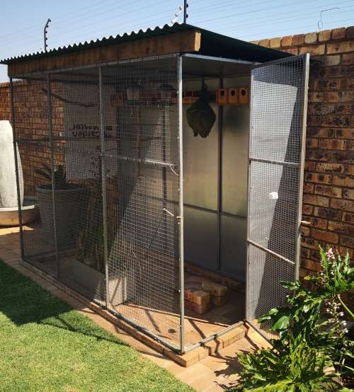 Aviary Bird cage walk in Cage