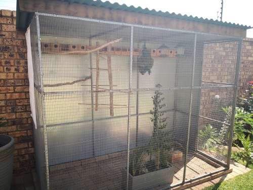 Aviary Bird cage walk in Cage