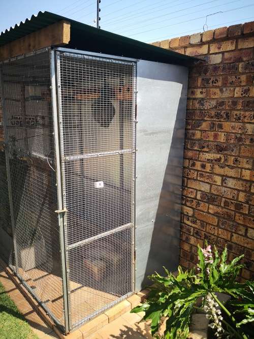 Aviary Bird cage walk in Cage